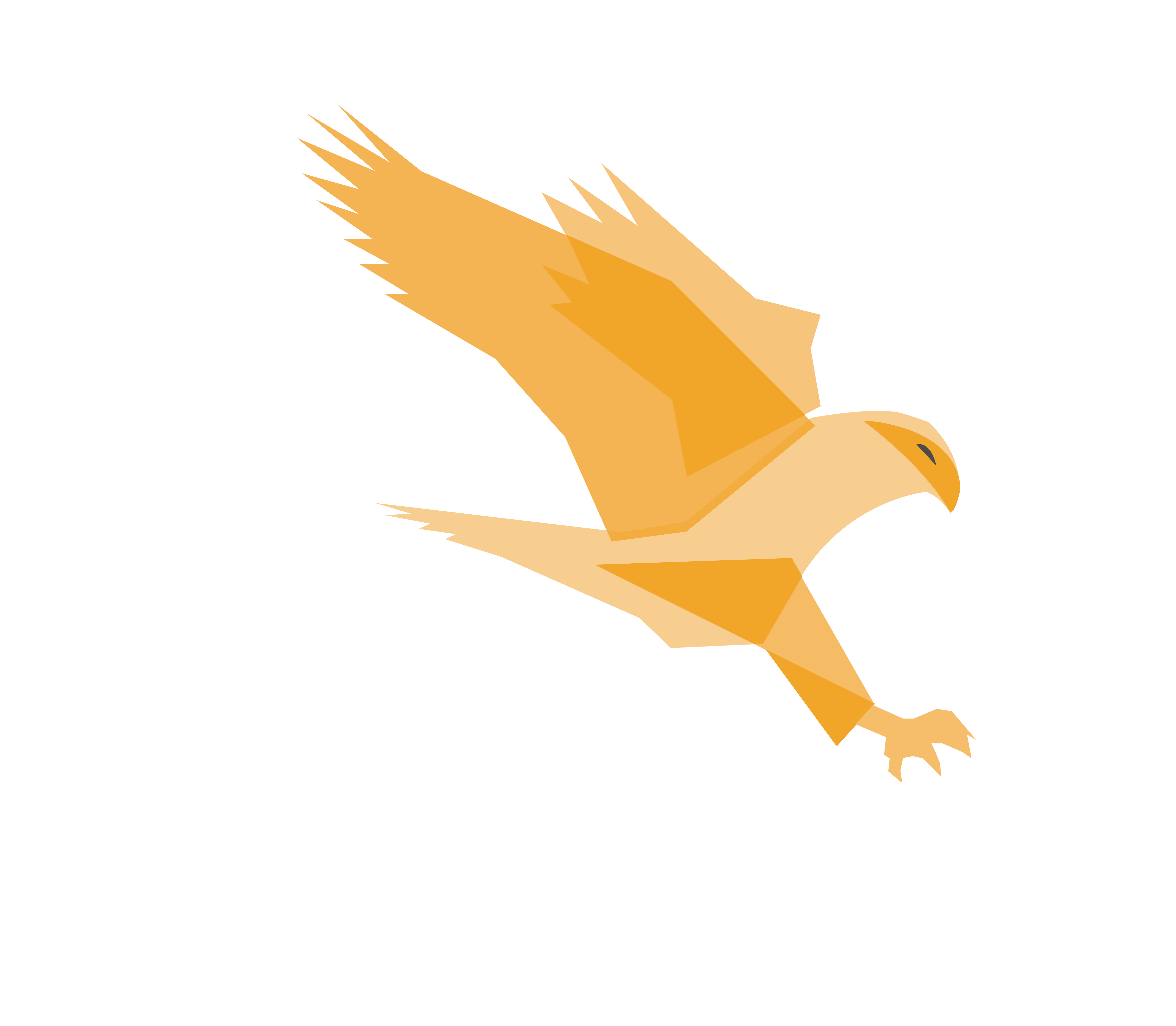 Strike Combat Archery